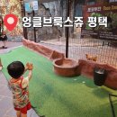 이비가짬뽕비전점 | 평택 엉클브룩스쥬, 실내동물원과 키즈카페가 있는 곳