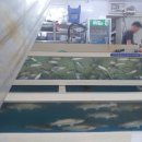 여로수산 이미지