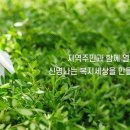 상계종합사회복지관 이미지