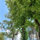 공근중학교 이미지