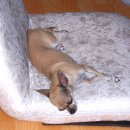 생활요가 이미지