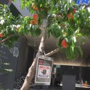 지명행정사사무소 이미지