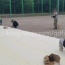 탄천변제1체육공원 네이버블로그