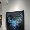 리치펄슨 이미지