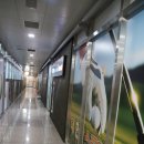 세븐스타코인노래연습장(평촌대한점) 이미지