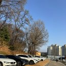 숲속반디어린이집 | 인천 숲놀이터 남동구 반디세상 자연체험 제대로 하고 왔어요