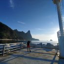 젖소의 만찬 이미지