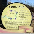문탠로드 Daum카페