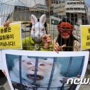 세브란스 동물병원 이미지