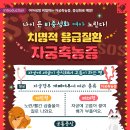 채움 동물병원 이미지