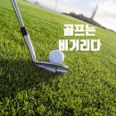 미성파크 이미지