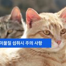 모래내동물병원 이미지