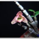 지일농장 이미지