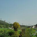 다불촌 독채민박 이미지