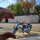 강구종합정비 | 혼다 커브 후기