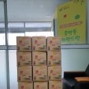 중앙동-15 이미지