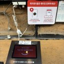 대성식당 | [종로 맛집]낙곱새 대성식당 또간집 내돈내산 후기