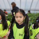 강호농장 네이버블로그