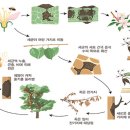 ＜5월 29일 금＞ 출석부입니다 이미지