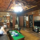 (주)나무들(1종)
