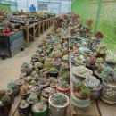 신기농원 이미지