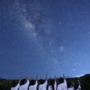 별빛그릴 이미지