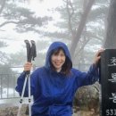 함백산민박