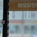 바오닭한마리
