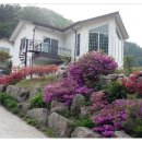 산수벨리펜션