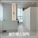 셀린에스테틱 - 원주시 | 셀린에스테틱