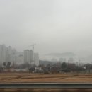 대정초교병설유치원 이미지