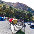 도래재별빛마을캠핑장 이미지