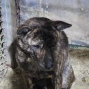 사산경로당 이미지