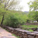 제천 성내관광지 이미지