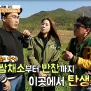 NK웰빙가든 이미지