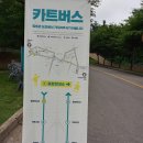 용산공원을 보고 느낀점 이미지