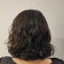 퍼피베이비 이미지