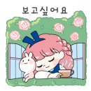 매화다육