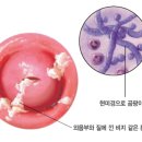 온봄 여성의원