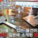 못된송아지 5,500 소갈비살