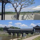 경주엘림하우스 이미지