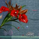 순환의바람으로부터 이미지