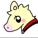 천마 태권도 이미지