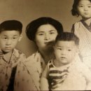 생모상회