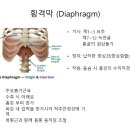 리드필라테스 네이버블로그