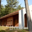 자연달임