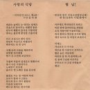 분도와안나 개미꽃동산 이미지