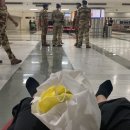 디，델리