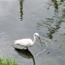 삼산행정사 이미지