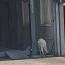 신협종합카센터 이미지